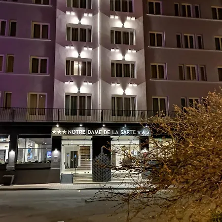 Hotel Adonis - Notre Dame De La Sarte Lourdes