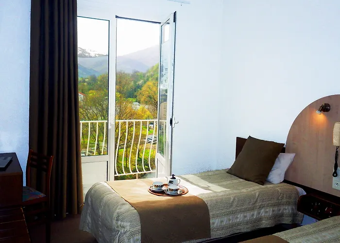 Hotel Adonis - Notre Dame De La Sarte Lourdes