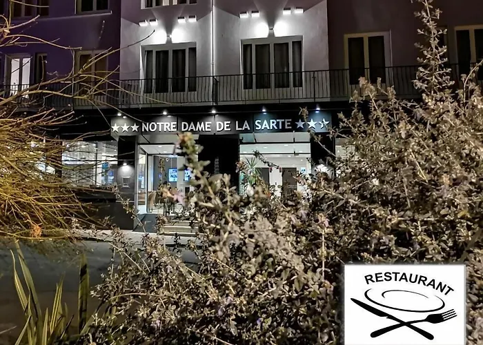 Hotel Adonis - Notre Dame De La Sarte Lourdes