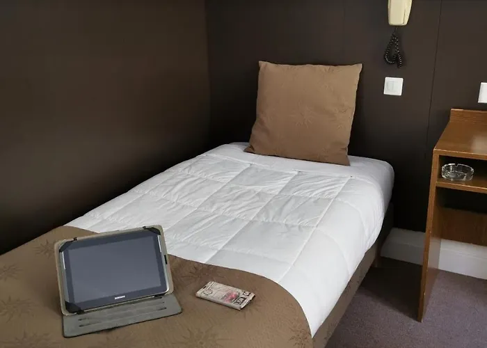 Hotel Adonis - Notre Dame De La Sarte Lourdes