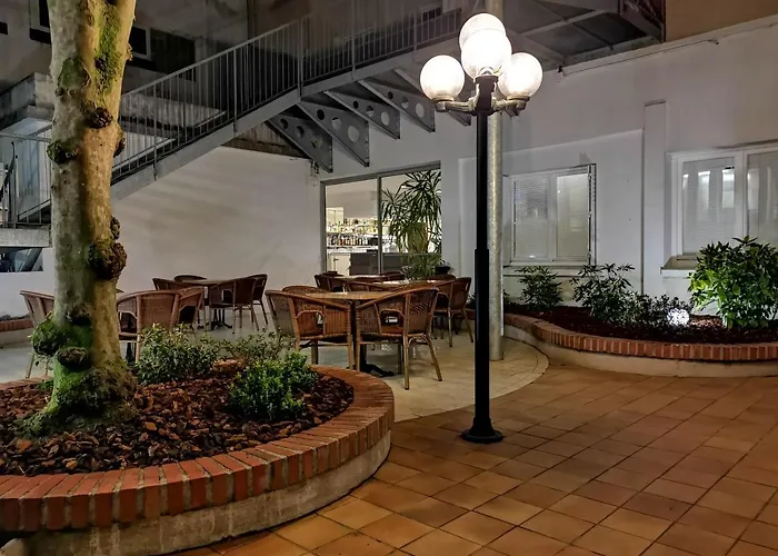 Adonis - Notre Dame De La Sarte Lourdes