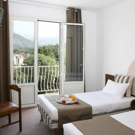 Otel Adonis - Notre Dame De La Sarte Lourdes