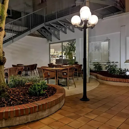 Adonis - Notre Dame De La Sarte Lourdes